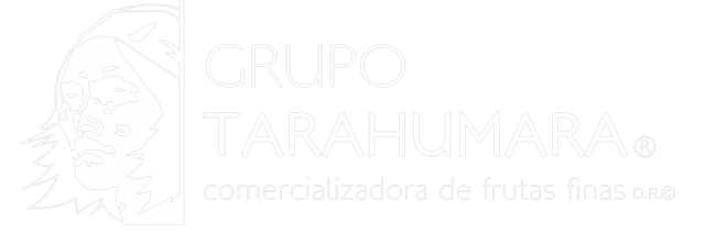 Logo Grupo Tarahumara
